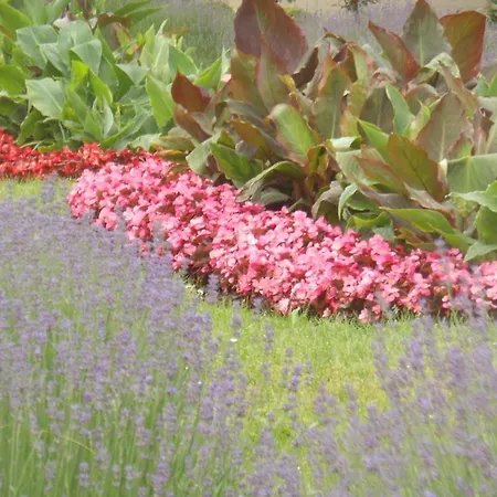 Apartamento Messezimmer Hanôver