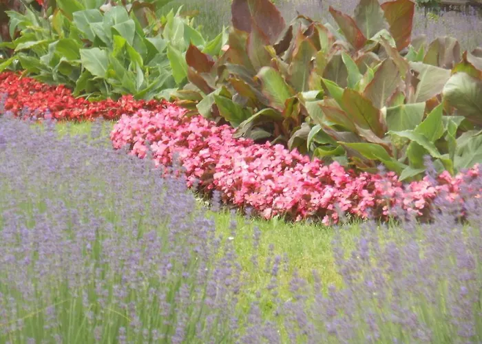 アパート Messezimmer ハノーファー